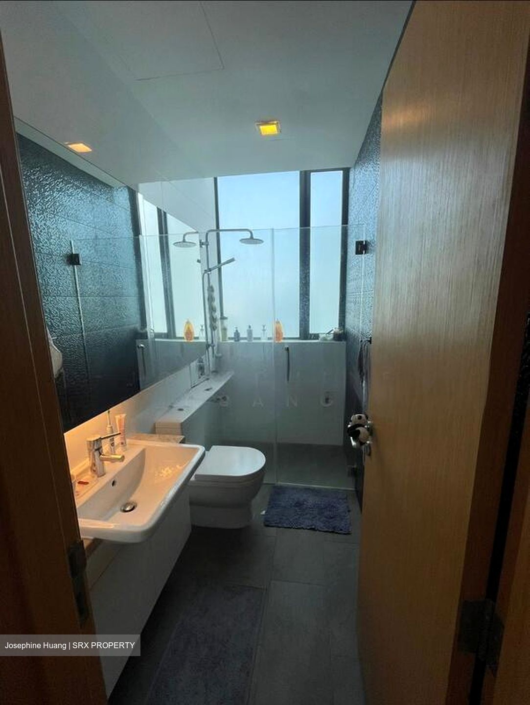 The Lincoln Residences (D11), Condominium #520210761